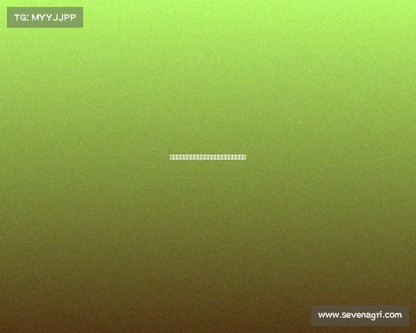 白鲨创立历程：从职业选手到俱乐部掌舵者的蜕变